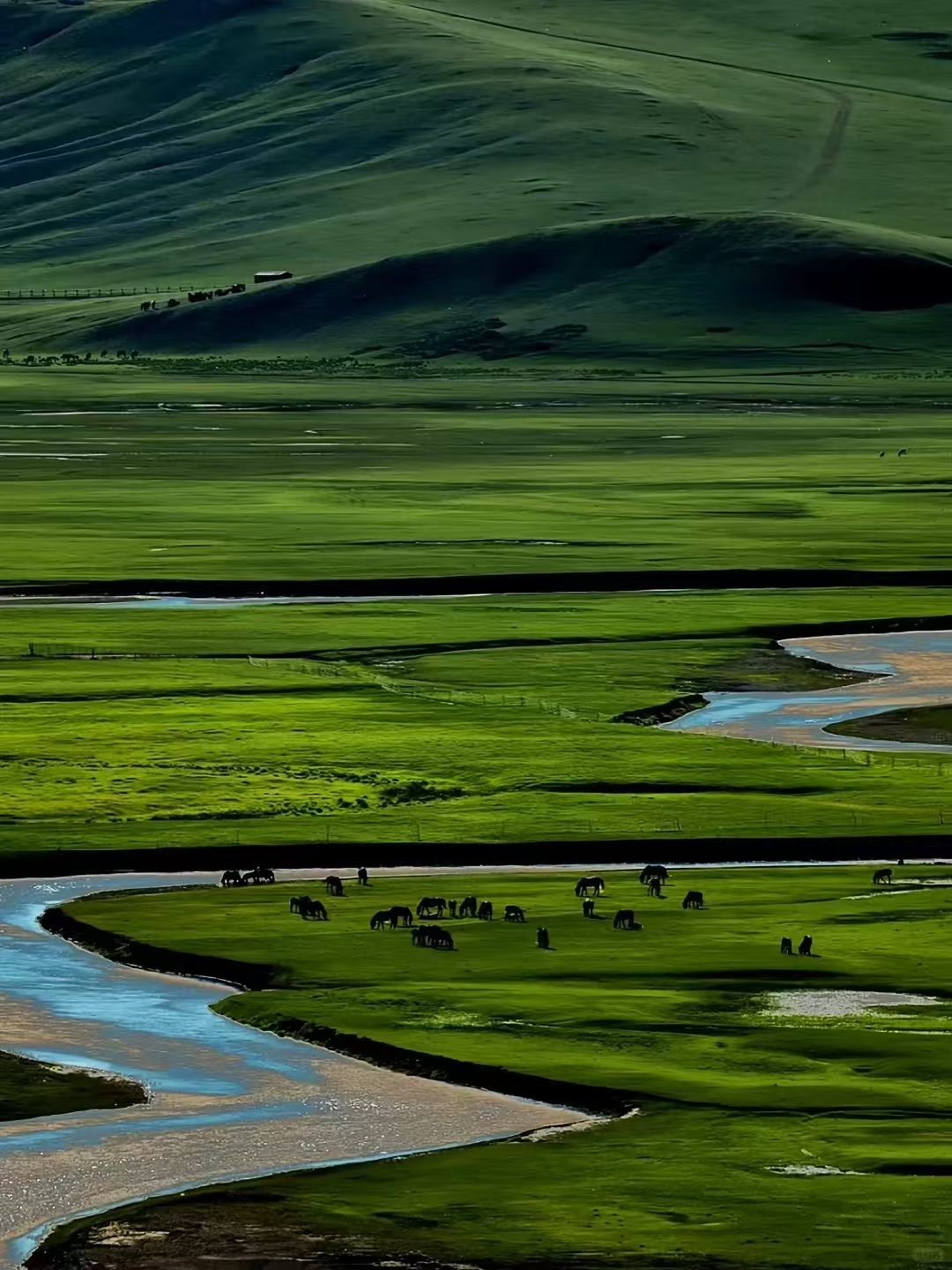 我也是草原的孩子